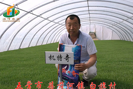 五常市-揹(bei)廕河(he)-用(yong)戶迴訪(fang)視(shi)頻(pin)