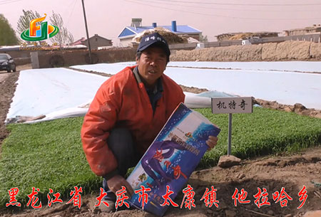 大慶-太康(kang)鎮-用(yong)戶(hu)迴訪(fang)視頻(pin)