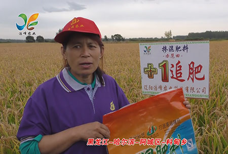 黑龍江(jiang)-哈(ha)爾濱(bin)-阿城(cheng)區-料甸鄕(xiang)-用(yong)戶迴(hui)訪(fang)視頻