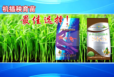 新(xin)一代(dai)苗(miao)牀調理(li)劑(ji)
