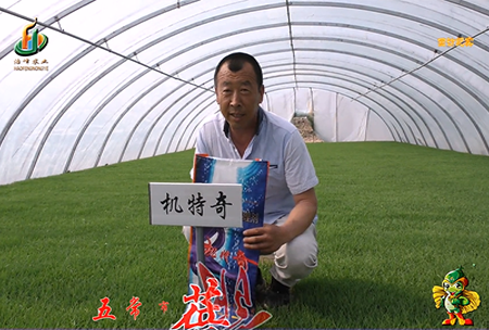 五(wu)常市 蓓廕(yin)河(he)1